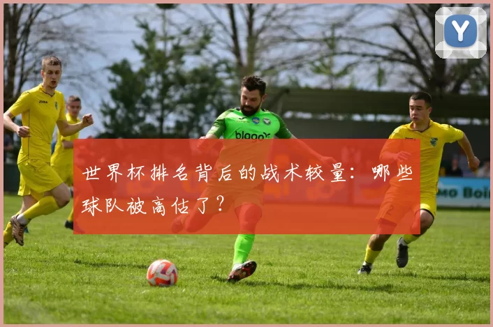 世界杯排名背后的战术较量:哪些球队被高估了?