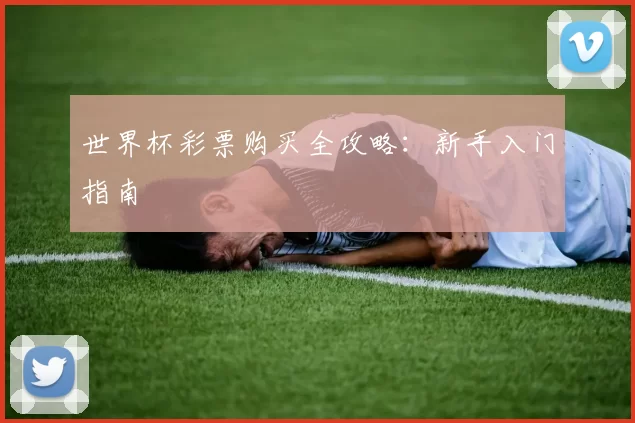 世界杯彩票购买全攻略：新手入门指南