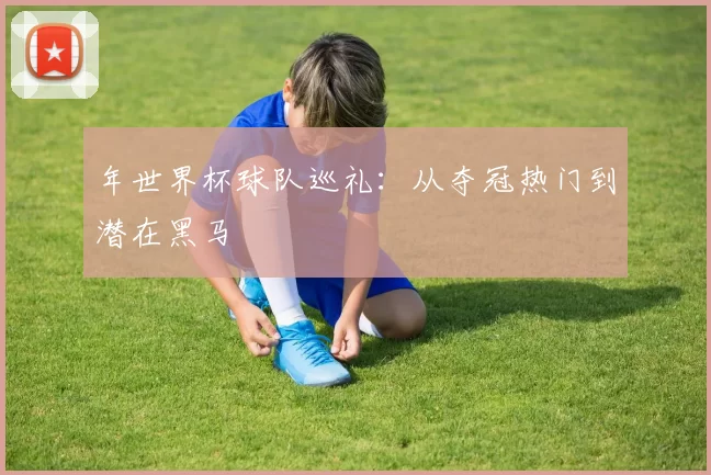 年世界杯球队巡礼：从夺冠热门到潜在黑马