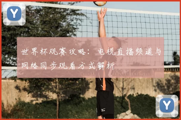 世界杯观赛攻略:电视直播频道与网络同步观看方式解析