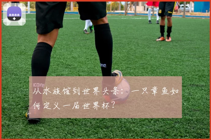 从水族馆到世界头条:一只章鱼如何定义一届世界杯?