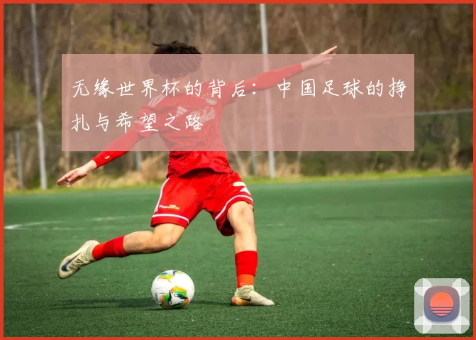 无缘世界杯的背后:中国足球的挣扎与希望之路
