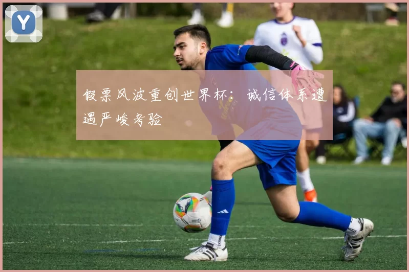 假票风波重创世界杯:诚信体系遭遇严峻考验