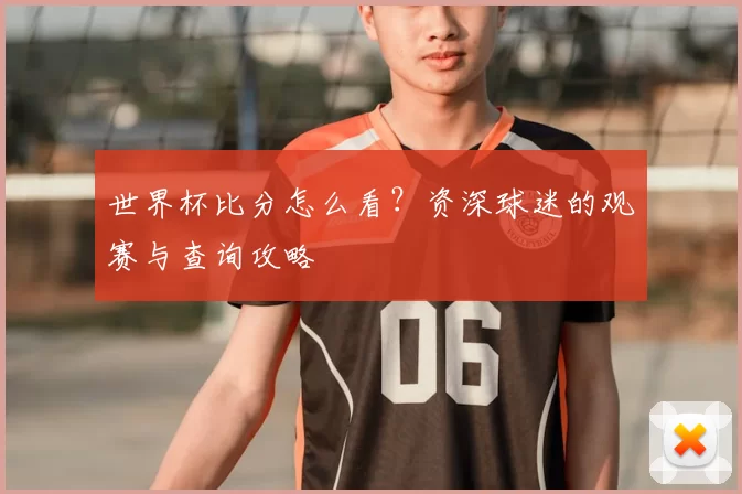 世界杯比分怎么看?资深球迷的观赛与查询攻略