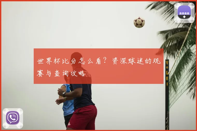 世界杯比分怎么看?资深球迷的观赛与查询攻略
