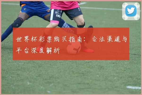 世界杯彩票购买指南:合法渠道与平台深度解析