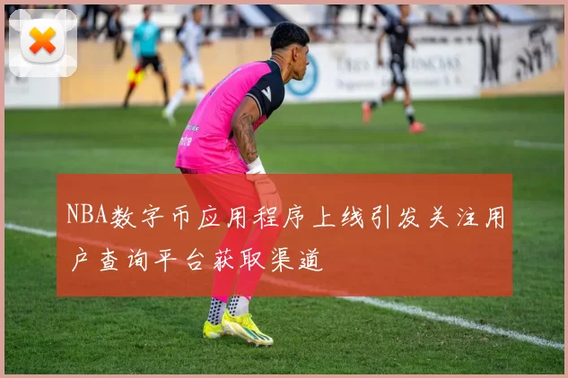 NBA数字币应用程序上线引发关注用户查询平台获取渠道