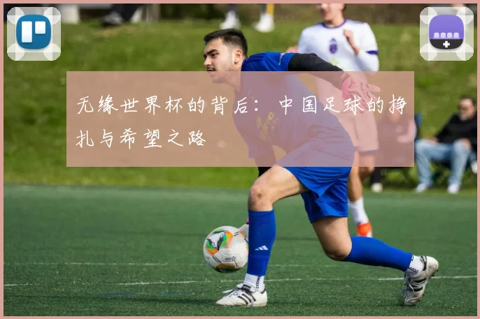 无缘世界杯的背后:中国足球的挣扎与希望之路