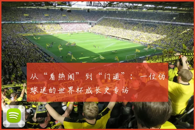 从“看热闹”到“门道”：一位伪球迷的世界杯成长史专访