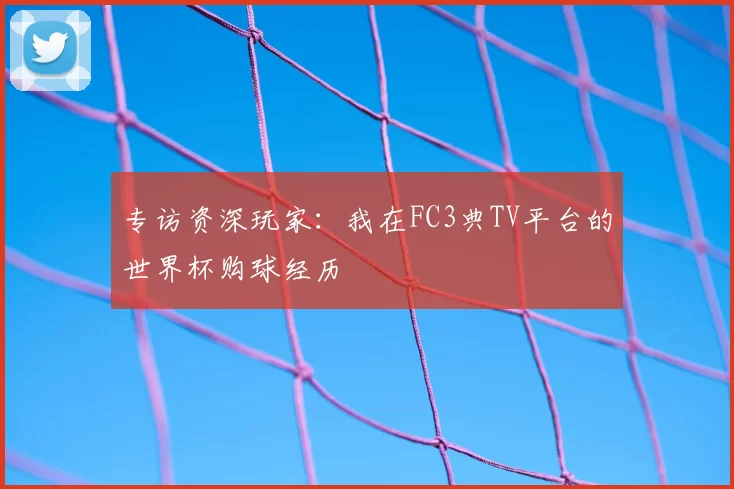 专访资深玩家:我在FC3典TV平台的世界杯购球经历