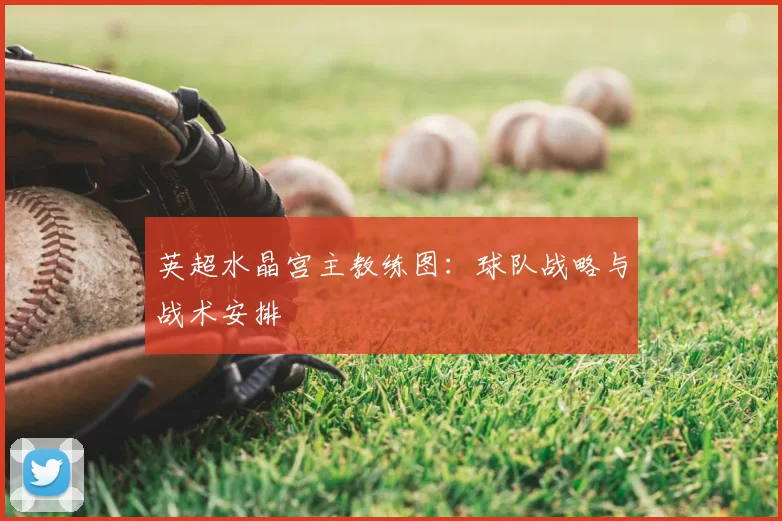 英超水晶宫主教练图：球队战略与战术安排
