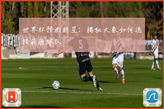 世界杯预测新星：揭秘大象如何选择获胜球队
