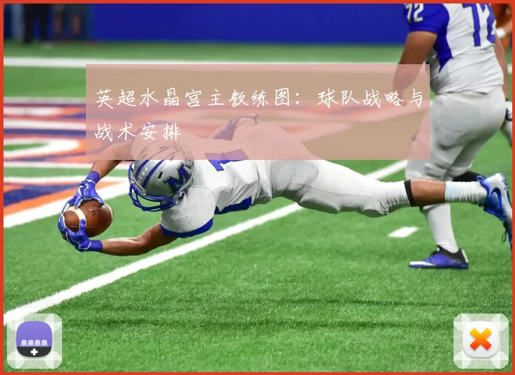 英超水晶宫主教练图:球队战略与战术安排