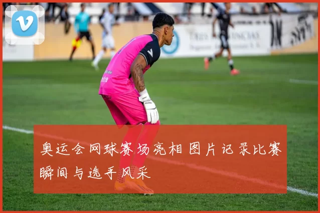 奥运会网球赛场亮相 图片记录比赛瞬间与选手风采